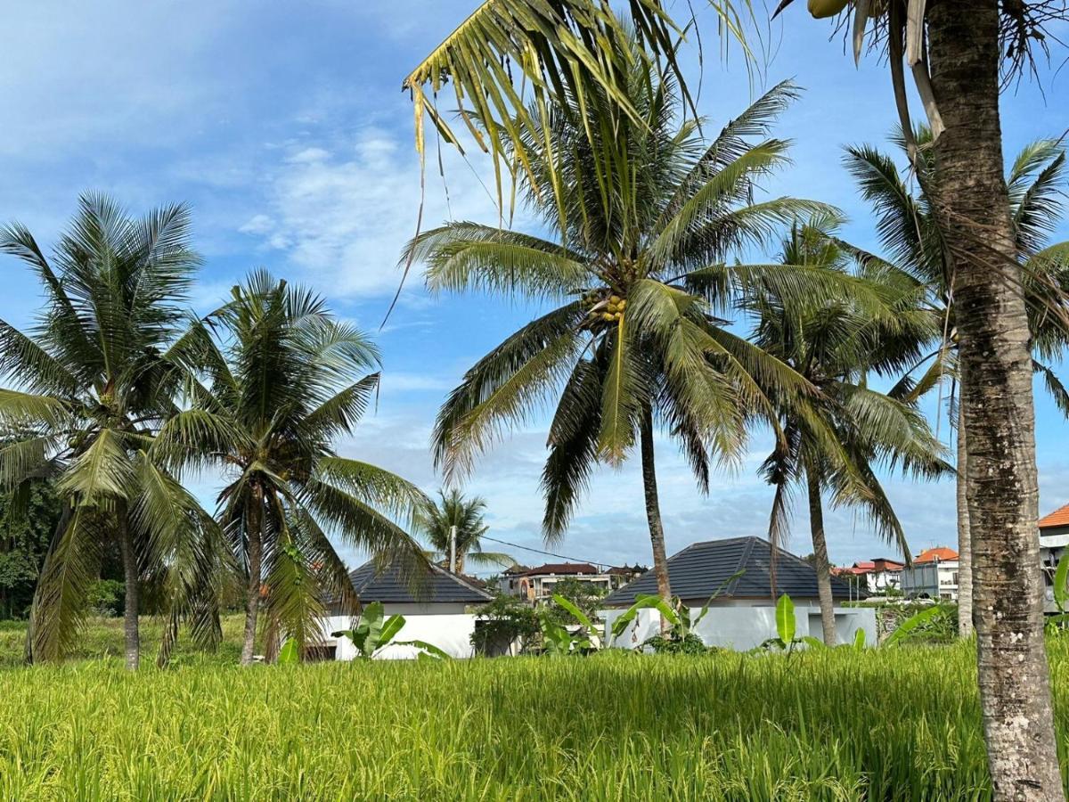 Anara Ubud Экстерьер фото